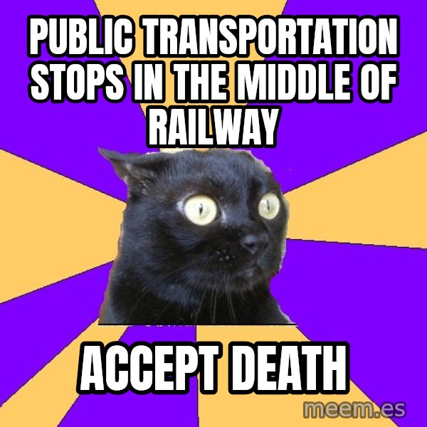 Anxiety Cat meme: public transportation stops in the middle of railway / accept death