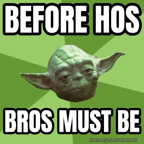 Advice Yoda Gives meme: BEFORE HOS / BROS MUST BE