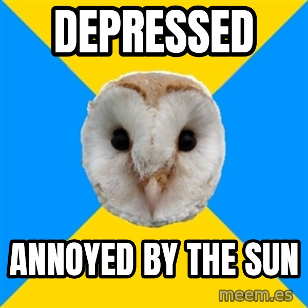 Bipolar Owl meme: depressed / annoyed by the sun