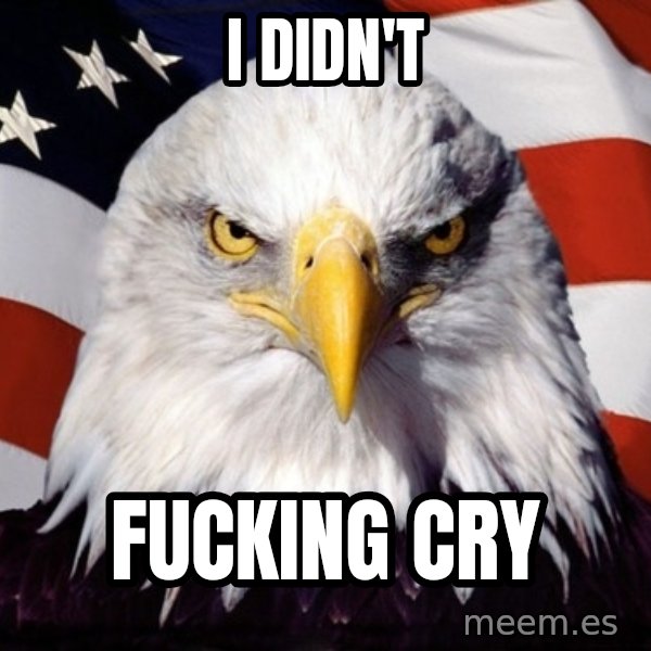 American Pride Eagle meme: i didn't / fucking cry