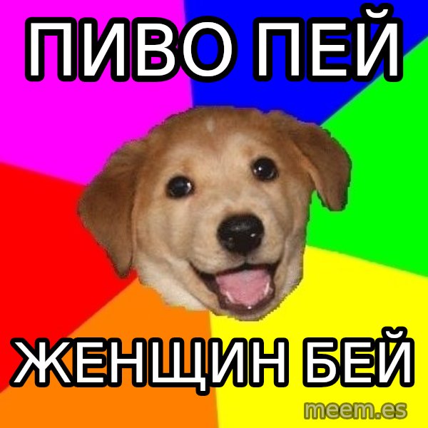 Advice Dog meme: ПИВО ПЕЙ / ЖЕНЩИН БЕЙ