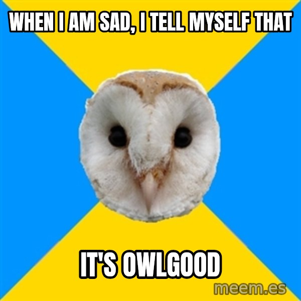 Bipolar Owl meme: when i am sad, i tell myself that / it's owlgood