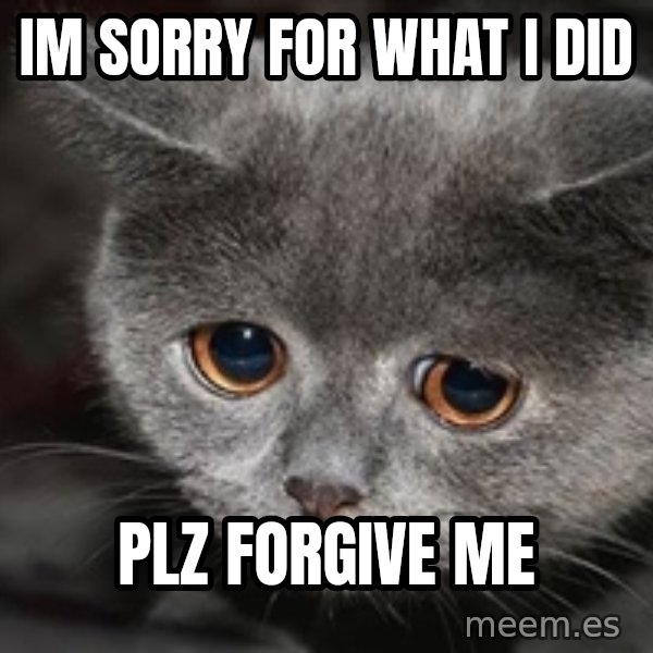 Sadcat meme: im sorry for what i did / Plz Forgive me