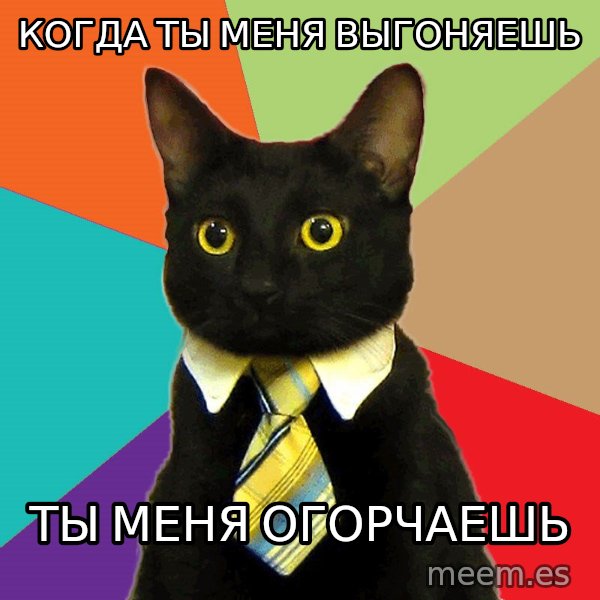 Business Cat meme: Когда ты меня выгоняешь / ты меня огорчаешь