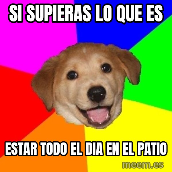 Advice Dog meme: si supieras lo que es / estar todo el dia en el patio