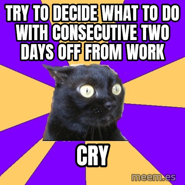Anxiety Cat meme: try to decide what to do with consecutive two days off from work / cry