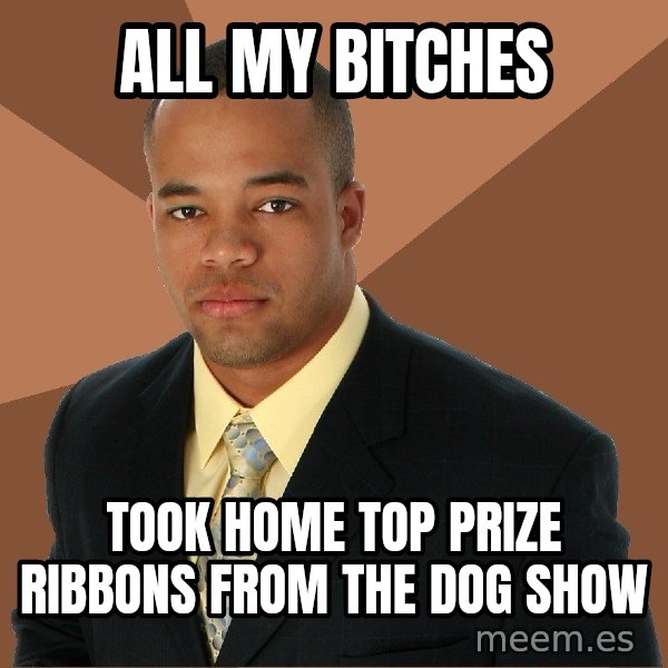 Successful Black Man meme: all my bitches / took home top prize ribbons from the dog show