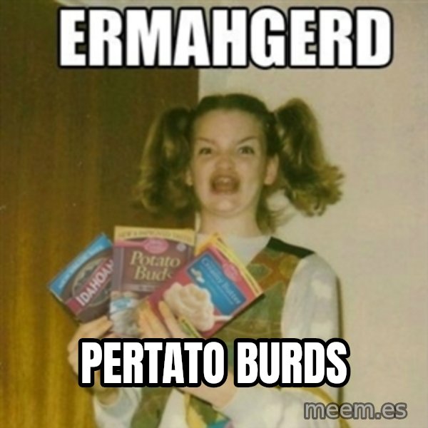 Ermahgerd meme: pertato burds
