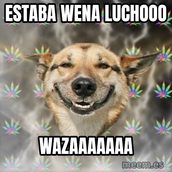 Stoner Dog meme: estaba wena luchooo / wazaaaaaaa