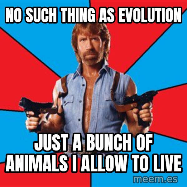 Chuck Norris  meme: no such thing as evolution / just a bunch of animals i allow to live
