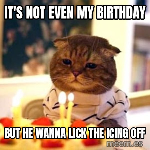 Birthday Cat meme: It's not even my birthday / but he wanna lick the icing off