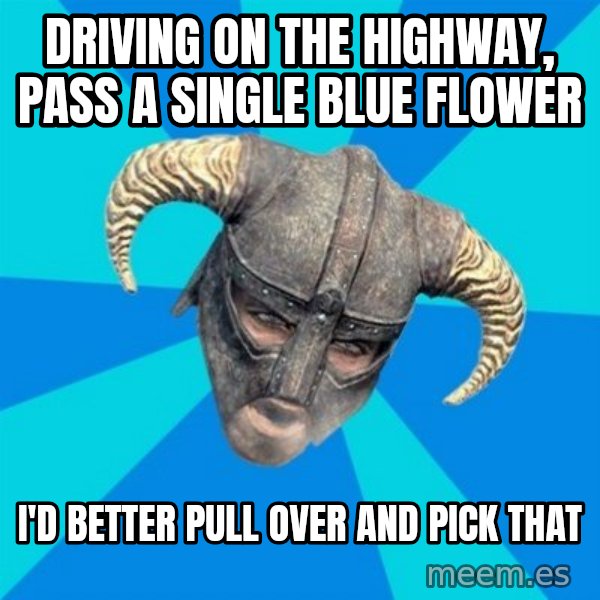 skyrim stan meme: driving on the highway, pass a single blue flower / i'd better pull over and pick that