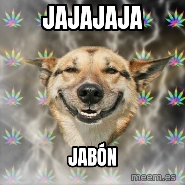 Stoner Dog meme: jajajaja / JABÓN