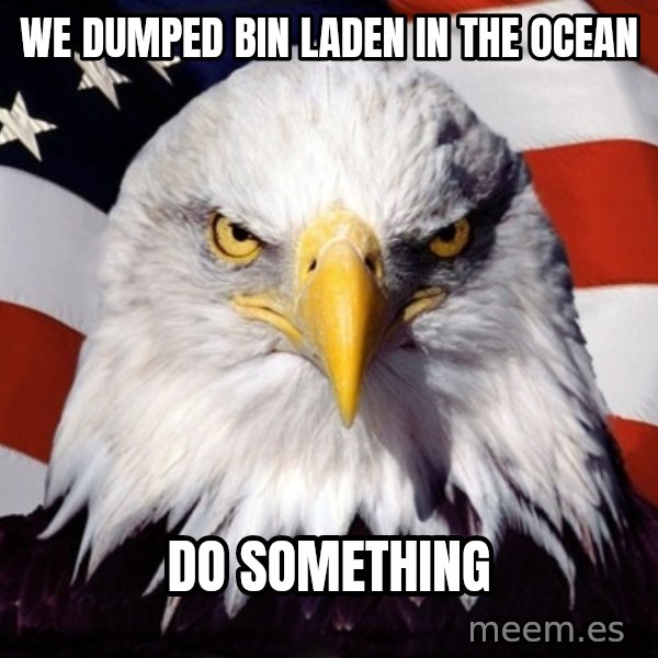 American Pride Eagle meme: we dumped bin laden in the ocean / do something