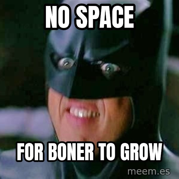 Goddamn Batman meme: No space / For boner to grow