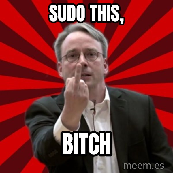 Angry Linus meme: SuDO this, / bitch