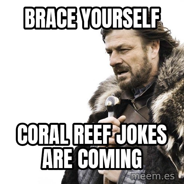 Winter is Coming meme: Brace yourself / coral reef jokes are coming