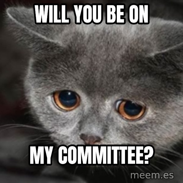 Sadcat meme: Will you be on / my committee?