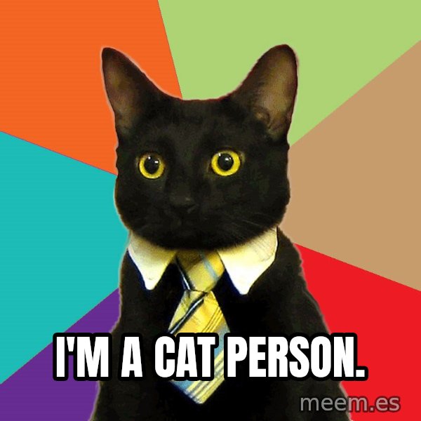 Business Cat meme: I'M A CAT PERSON.