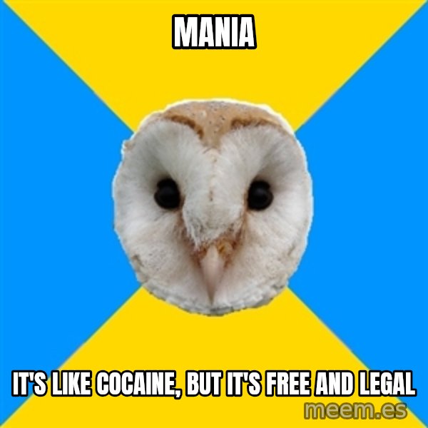 Bipolar Owl meme: mania / it's like cocaine, but it's free and legal
