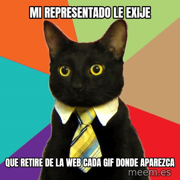 Business Cat meme: mi representado le exije / que retire de la web cada gif donde aparezca