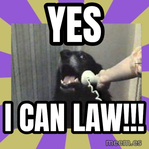 Yes, this is dog! meme: YES / I CAN LAW!!!