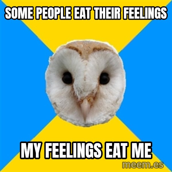 Bipolar Owl meme: some people eat their feelings / my feelings eat me