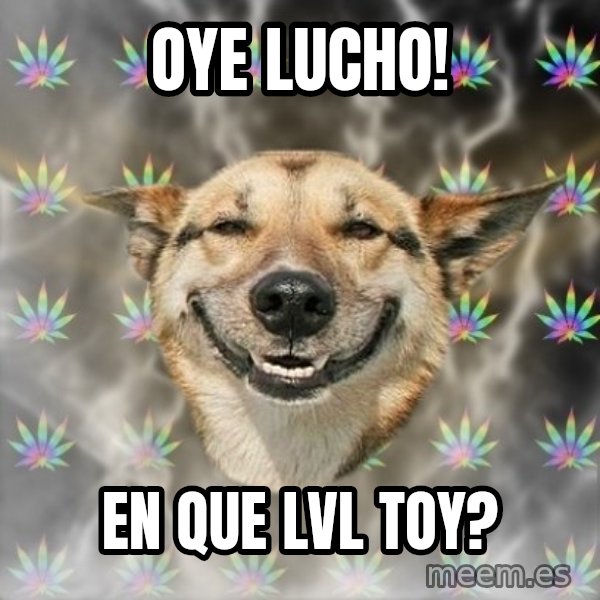 Stoner Dog meme: OYE LUCHO! / EN QUE LVL TOY?