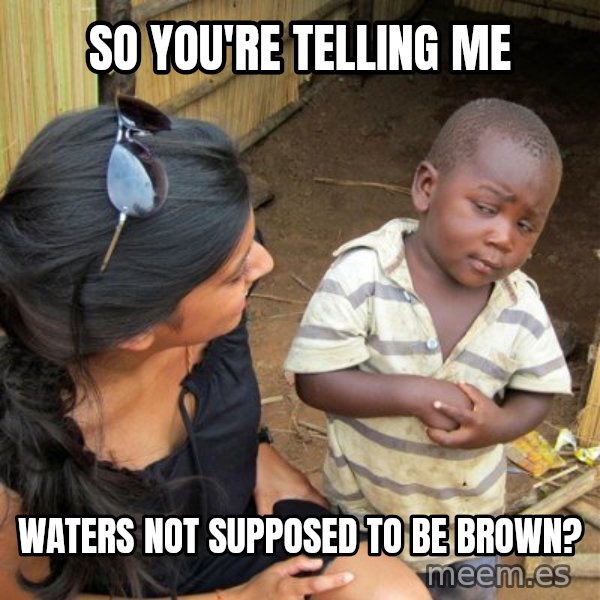 skeptical black kid meme: so you're telling me / waters not supposed to be brown?