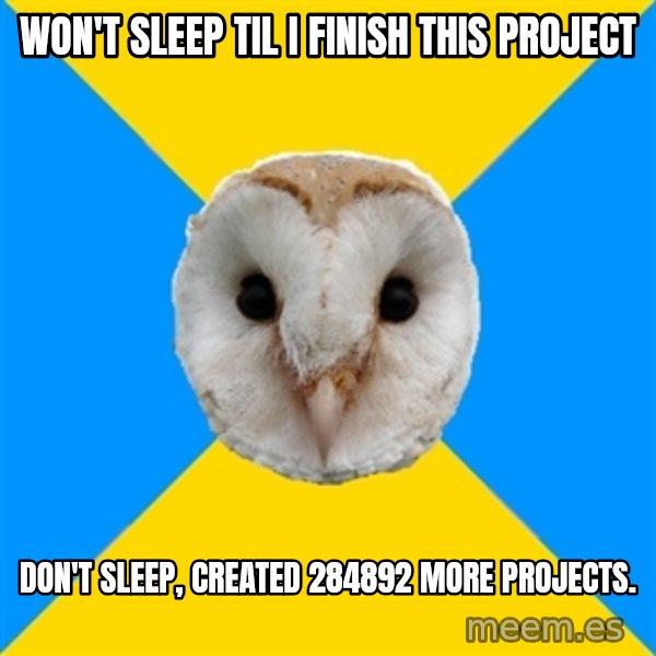 Bipolar Owl meme: won't sleep til i finish this project / don't sleep, created 284892 more projects.
