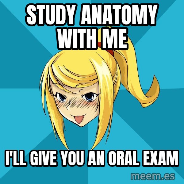 Horney Samus meme: Study anatomy with me / I'll give you an oral exam