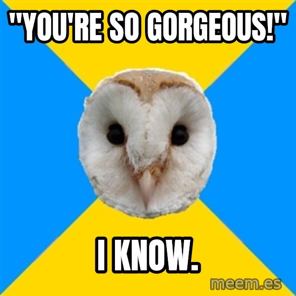 Bipolar Owl meme: "You're so gorgeous!" / I know.