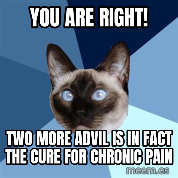 Chronic Illness Cat meme: you are right! / two more advil is in fact the cure for chronic pain