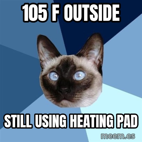 Chronic Illness Cat meme: 105 F Outside / still using heating pad
