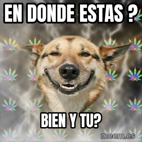Stoner Dog meme: En donde estas ? / bien y tu?