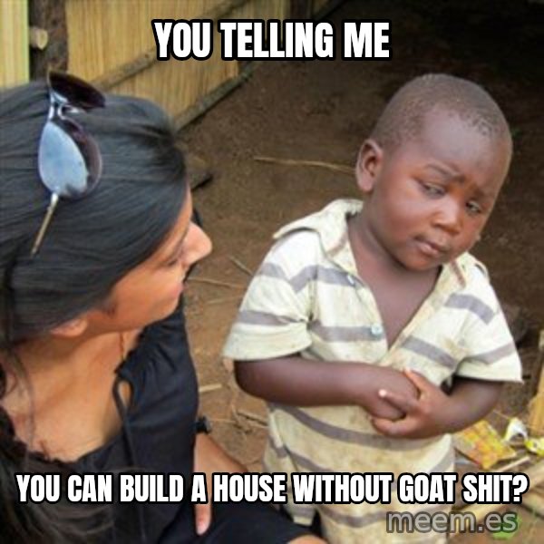 Skeptical 3rd World Kid meme: You telling me / you can build a house without goat shit?