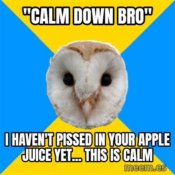 Bipolar Owl meme: "Calm down bro" / i HAVEN'T PISSED IN YOUR APPLE JUICE YET... THIS IS CALM