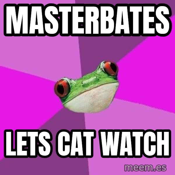 Foul Bachelorette Frog meme: masterbates / lets cat watch