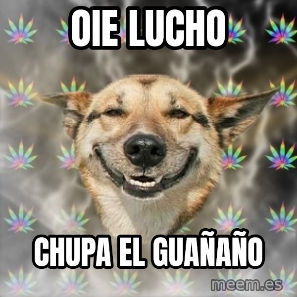 Stoner Dog meme: Oie lucho / chupa el guañaño