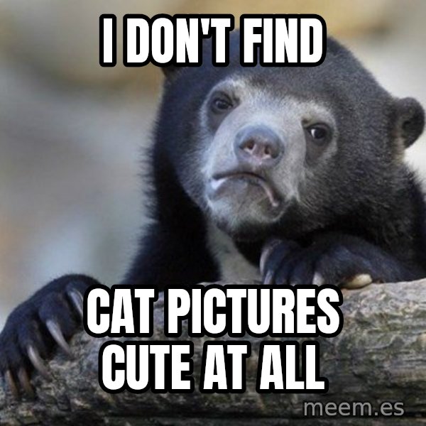 Confession Bear meme: I Don't find / cat pictures cute at all