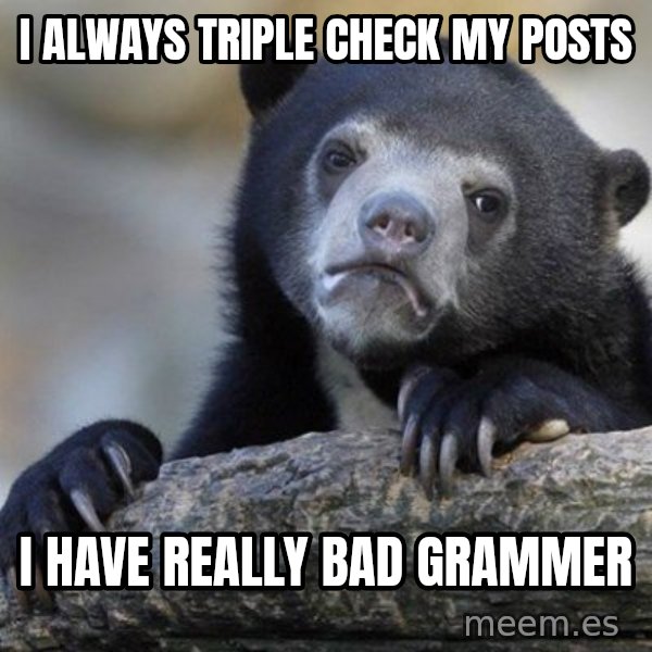 Confession Bear meme: i always triple check my posts / i have really bad grammer