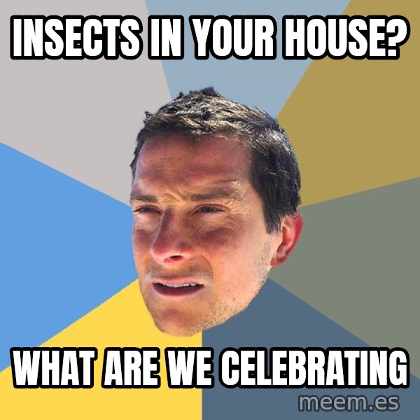 Bear Grylls meme: insects in your house? / what are we celebrating