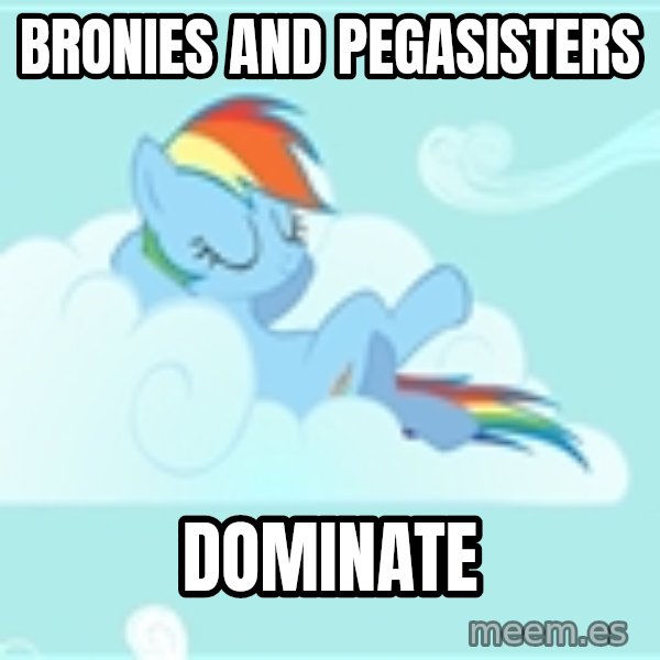 My Little Pony meme: Bronies and pegasisters / dominate