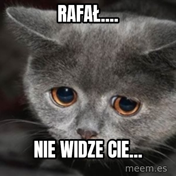 Sadcat meme: Rafał.... / NIE WIDZE CIE...