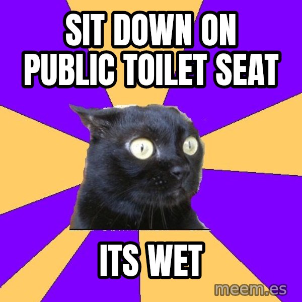 Anxiety Cat meme: sit down on public toilet seat / its wet