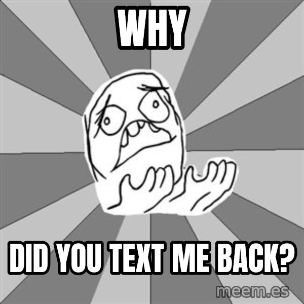 Whyyy??? meme: WHY / DID YOU TEXT ME BACK?