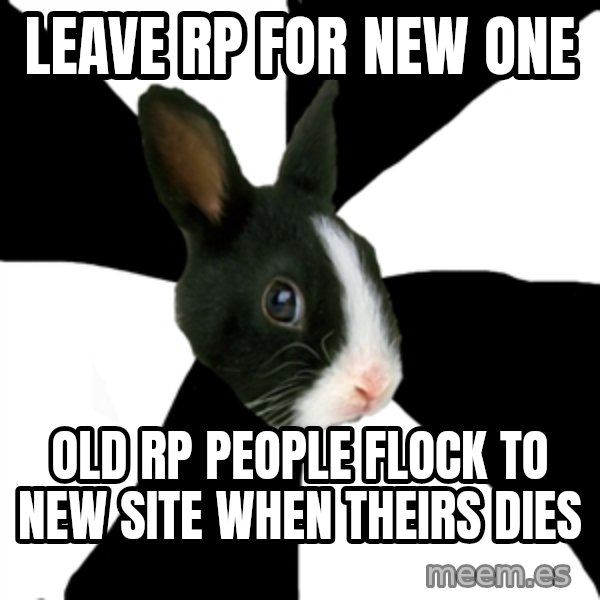 Roleplaying Rabbit meme: Leave rp for new one / old rp people flock to new site when theirs dies