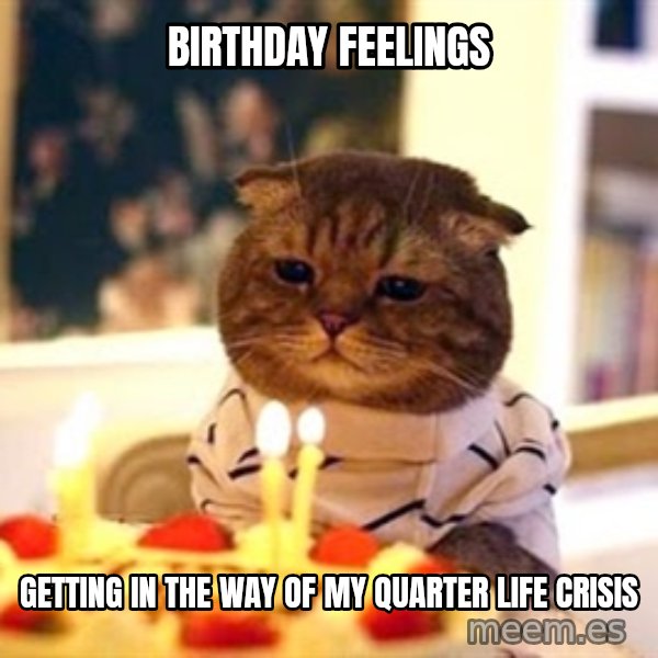Birthday Cat meme: Birthday Feelings / Getting in the way of my quarter life crisis