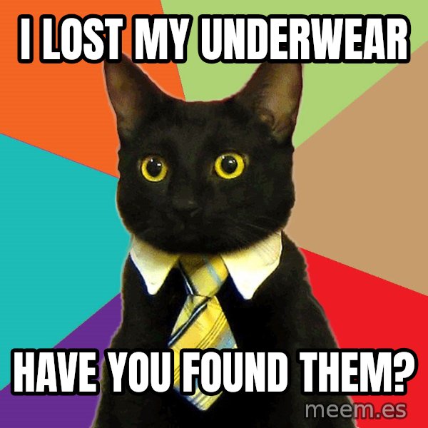 Business Cat meme: I lost My Underwear / Have you found them?