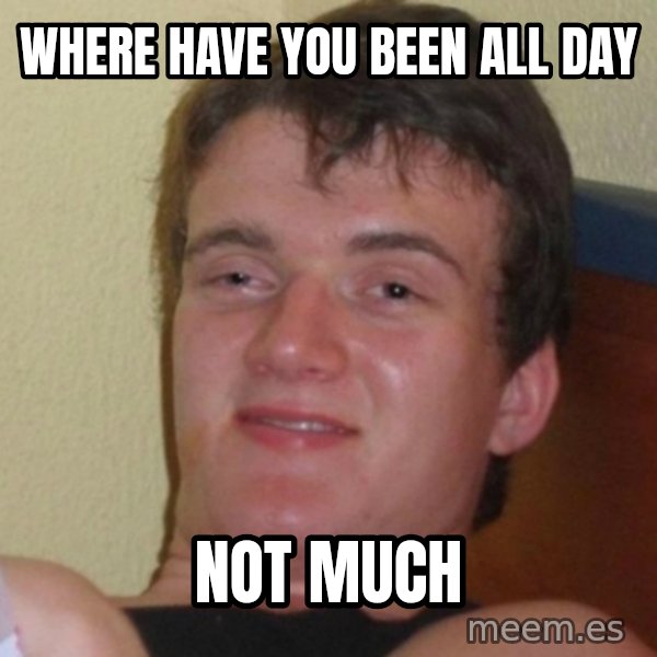 Really Stoned Guy meme: Where have you been all day / Not much